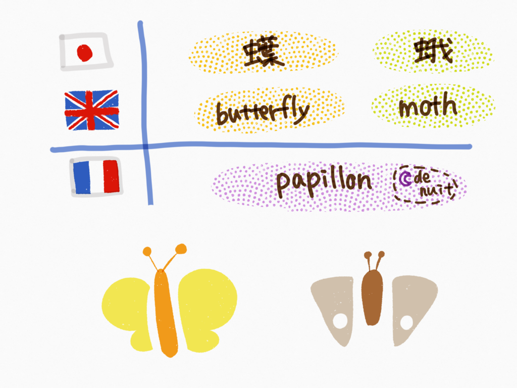 butterfly-moth-papillon