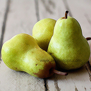 Common Fruit - Pear Translations