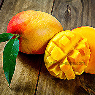 Common Fruit - Mango Translations