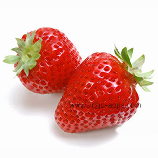 Common Fruit - Strawberry Translations