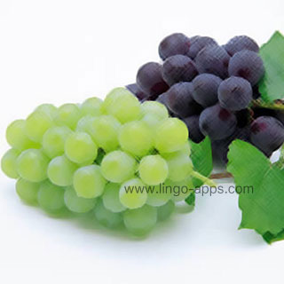 Common Fruit - Grape Translations