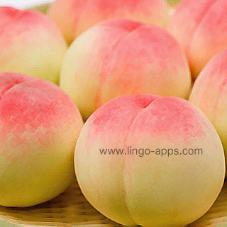 Common Fruit - Peach Translations