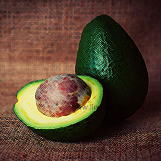 Common Fruit - Avocado Translations